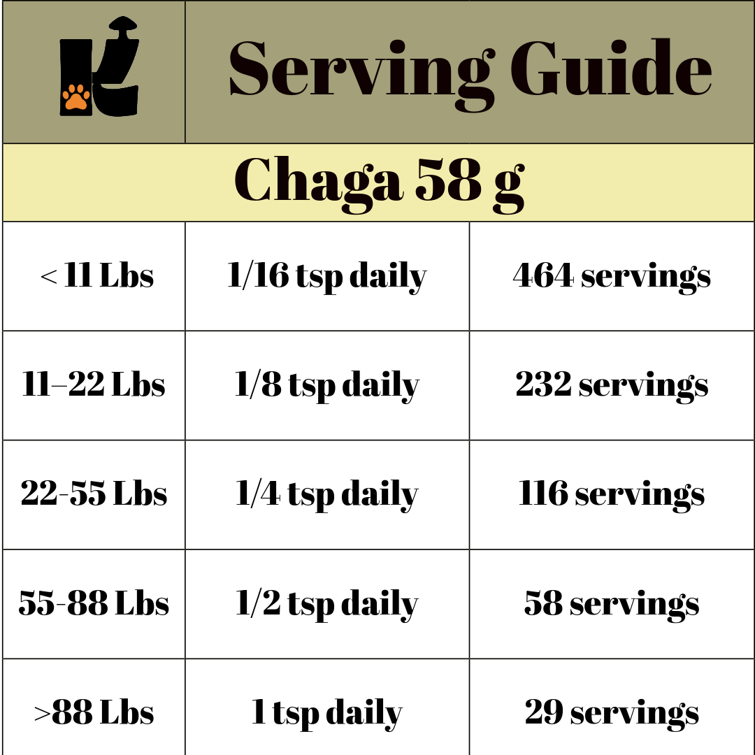 Chaga Mushroom Extract Powder