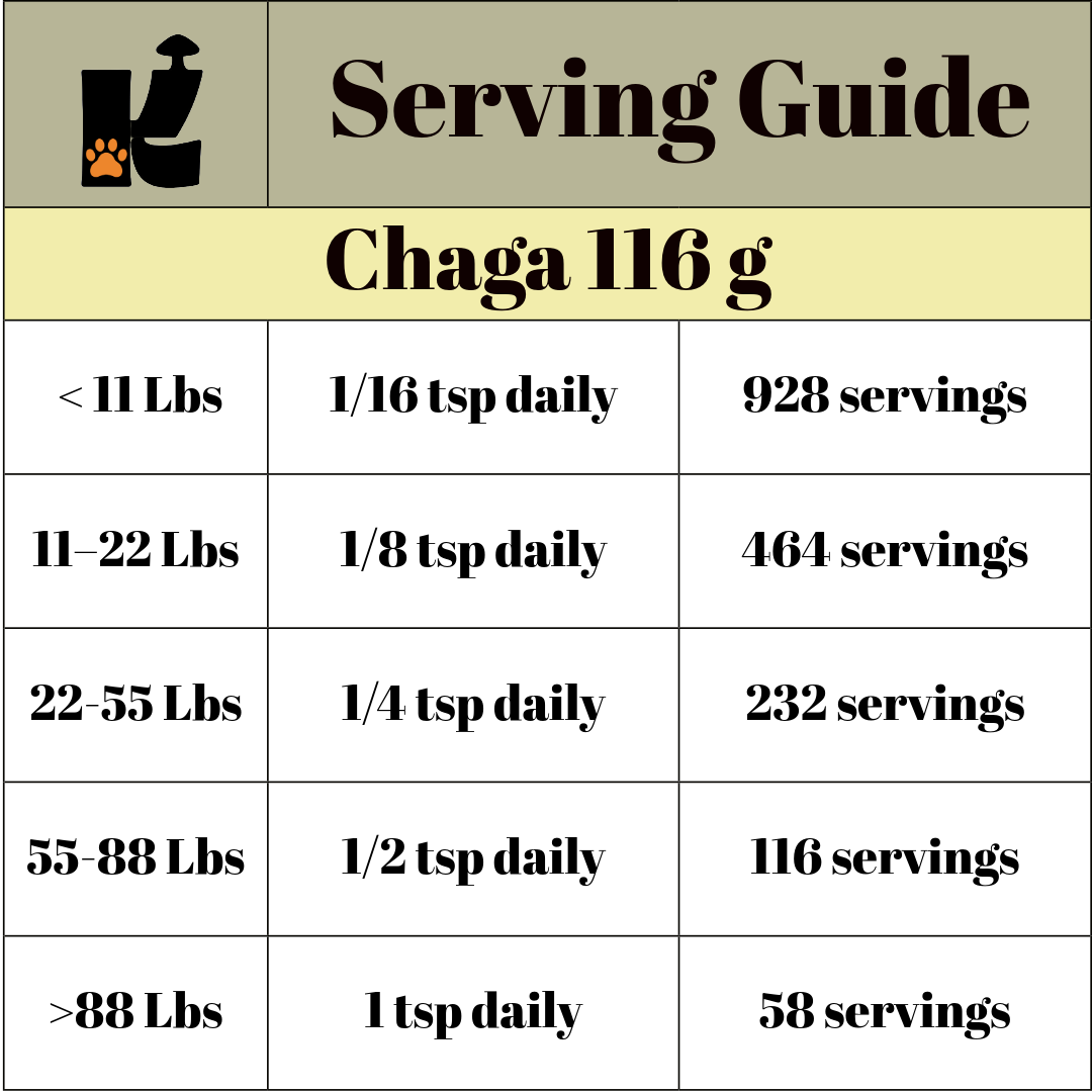 Chaga Mushroom Extract Powder