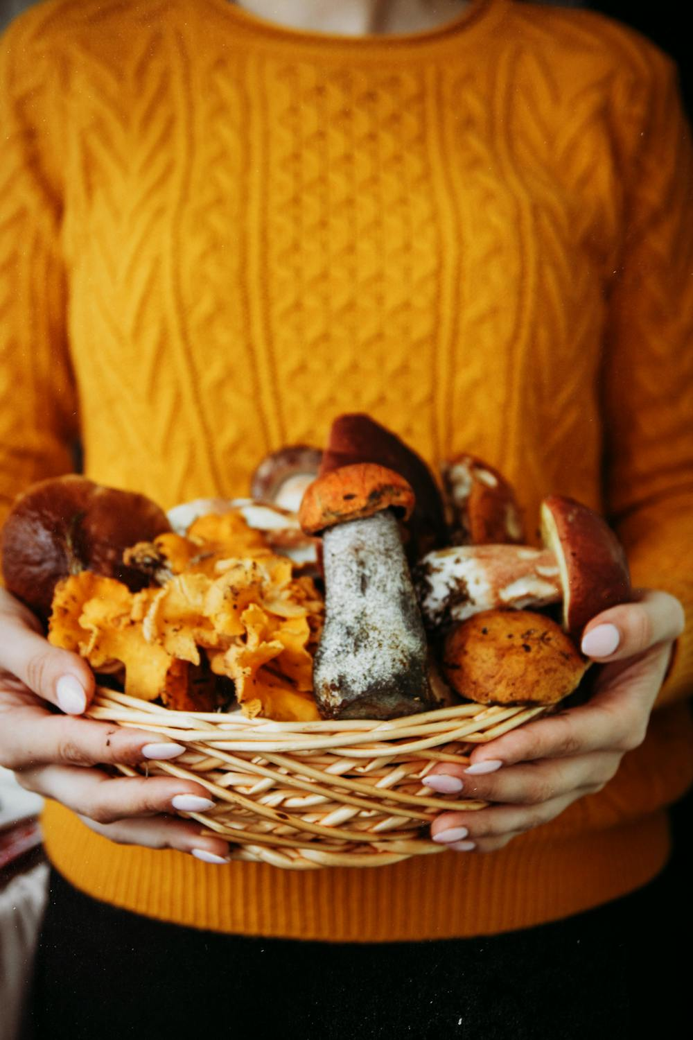 Shiitake Pup Crunchies